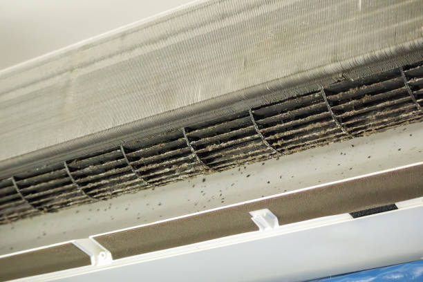 Best Air Vent Cleaning Services  in Logan, OH